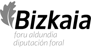 Bizkaiko Foru Aldundiaren logotipoa