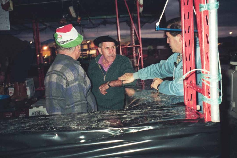 Euskal Abertzaletasunaren Museoa. Alderdi Eguna 1993
