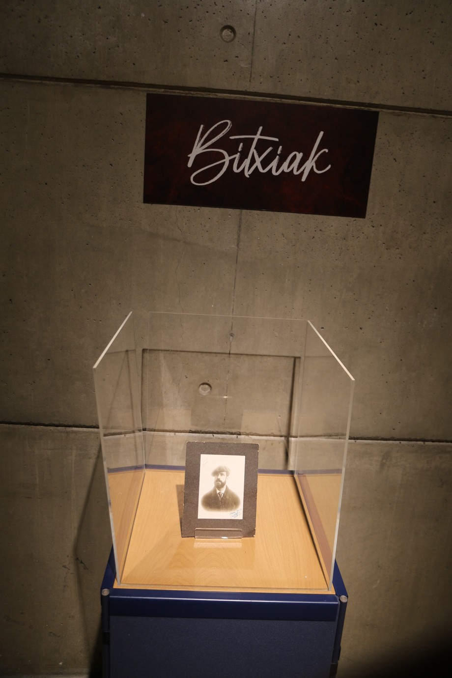 Euskal Abertzaletasunaren Museoa - Sabino Aranaren irudia